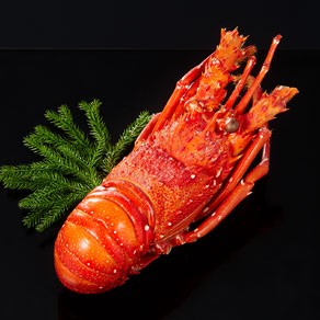 ロブスター旨煮