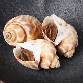 ほっけ鶏筍つみれ