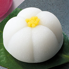 花餅 白梅