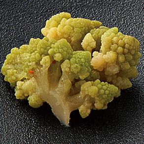 ロマネスコのブイヨン煮