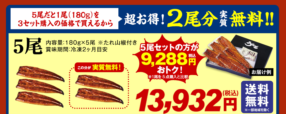 うなぎ蒲焼き5尾