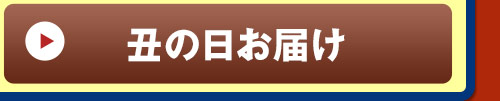 丑の日届け うなぎ蒲焼き5尾