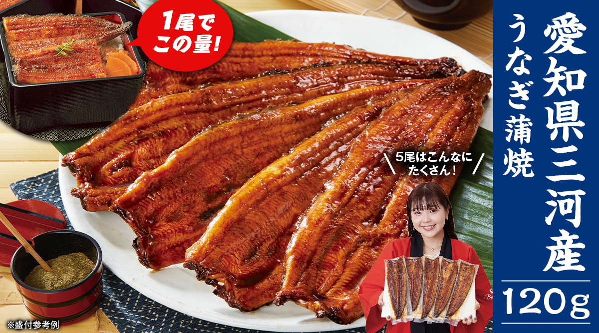 愛知県三河産うなぎ蒲焼１２０ｇ