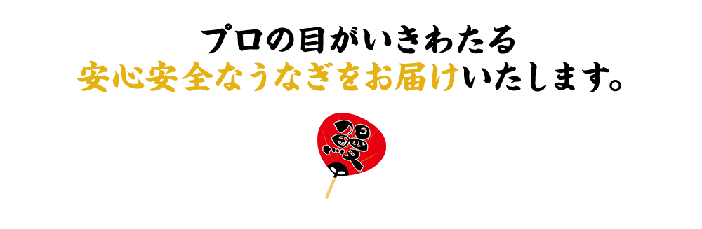 プロの目がいきわたる。安心安全なうなぎをお届けします