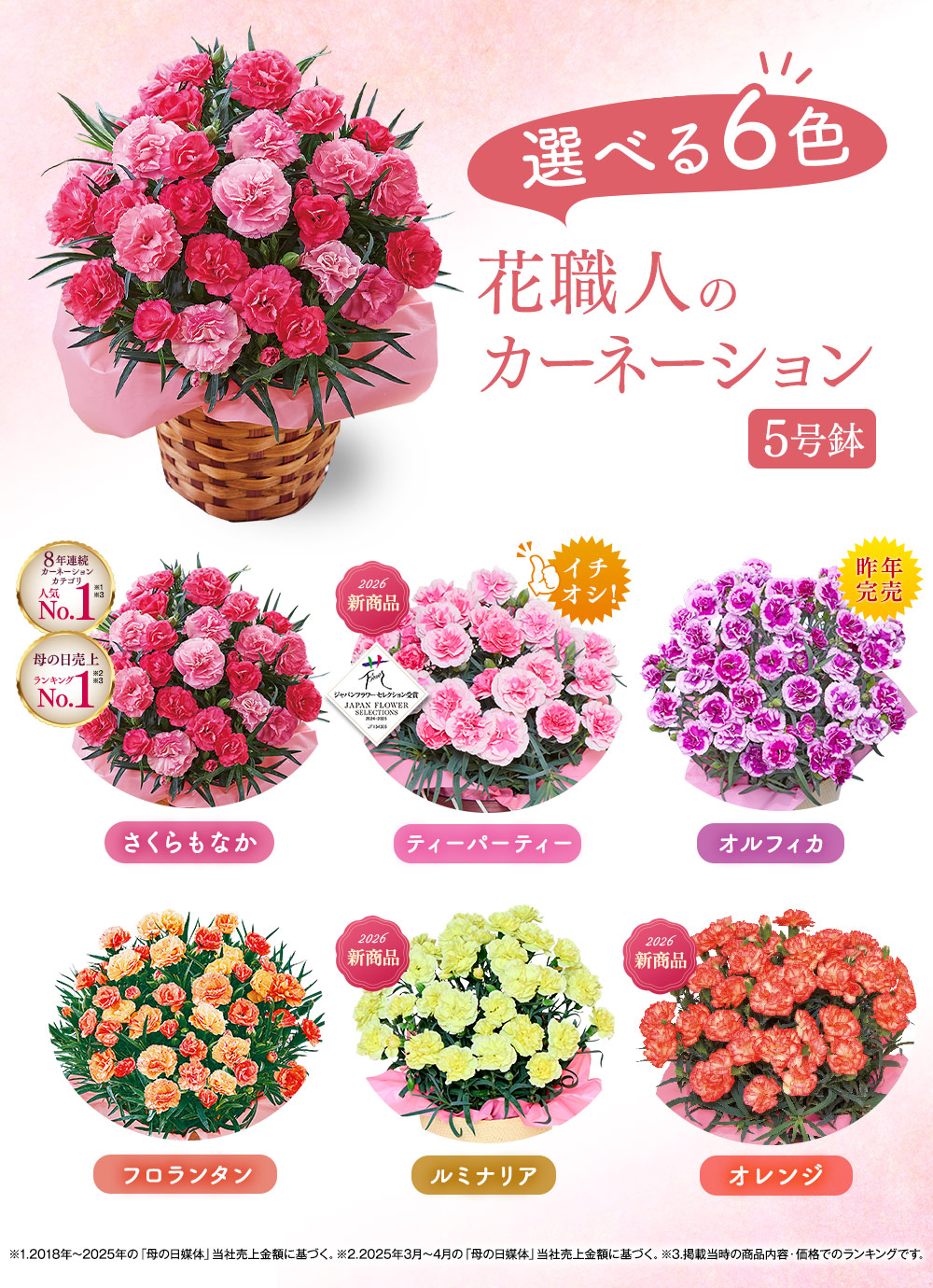 花職人のカーネーション