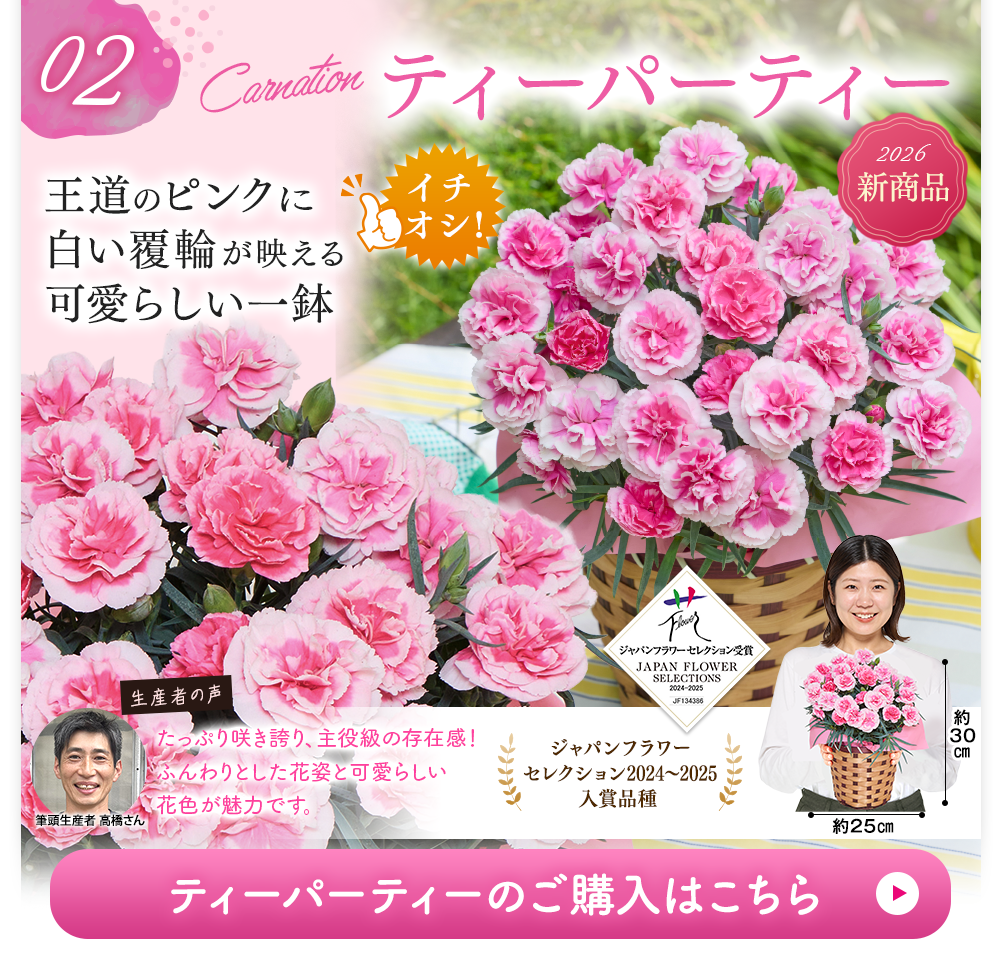 ティーパーティー