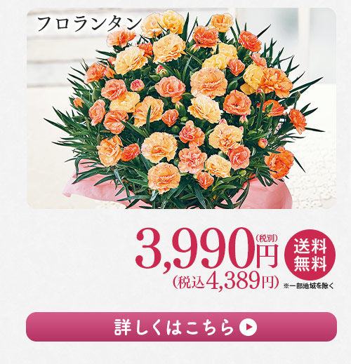 フロランタン 詳しくはこちら