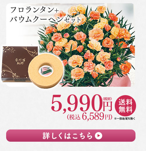 フロランタン＋バウムクーヘンセット 詳しくはこちら