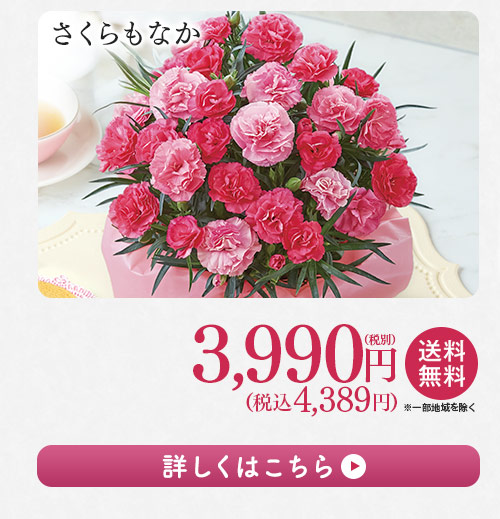 さくらもなか 詳しくはこちら