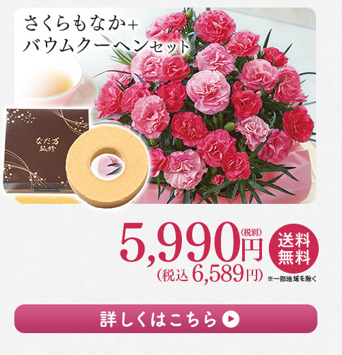 さくらもなか＋バウムクーヘンセット 詳しくはこちら