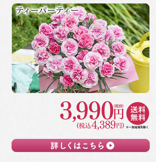 ティーパーティー 詳しくはこちら