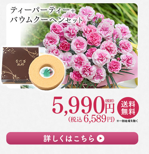 ティーパーティー＋バウムクーヘンセット 詳しくはこちら