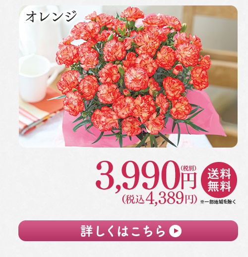 オレンジ 詳しくはこちら