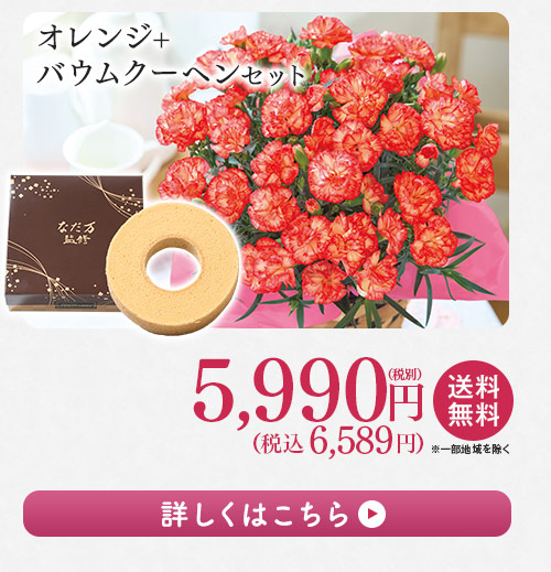 オレンジ＋バウムクーヘンセット 詳しくはこちら