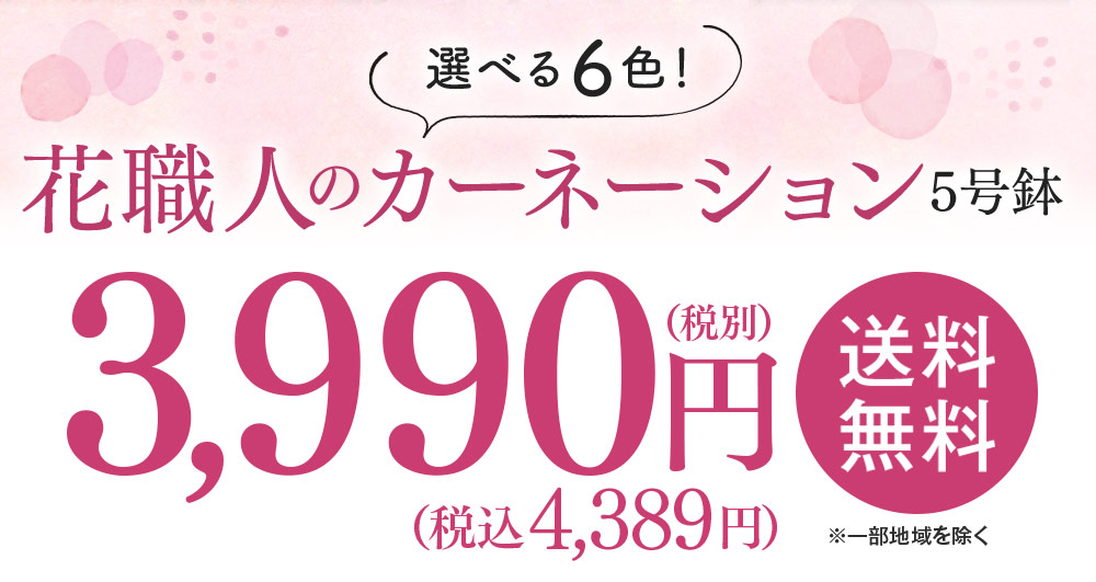 花職人のカーネーション