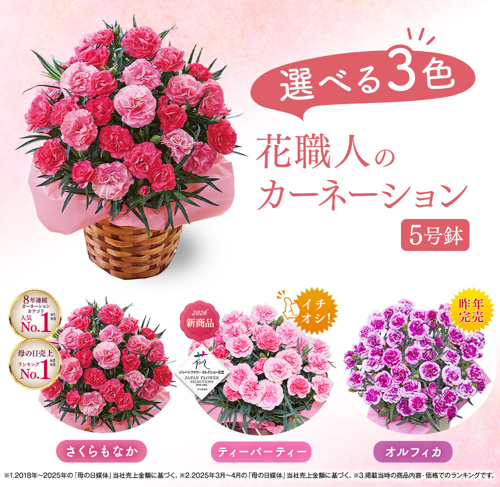 花職人のカーネーション