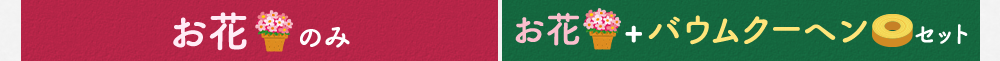 カーネーション一覧はコチラ