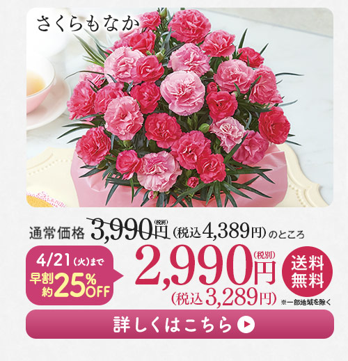 さくらもなか 詳しくはこちら