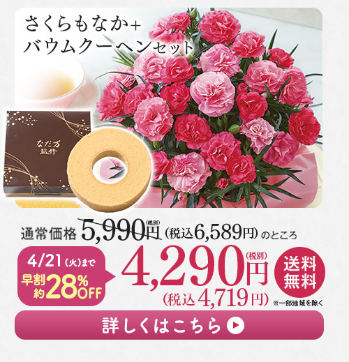 さくらもなか＋バウムクーヘンセット 詳しくはこちら