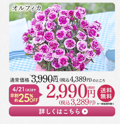 オルフィカ 詳しくはこちら