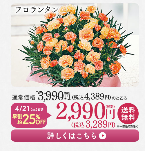 フロランタン 詳しくはこちら