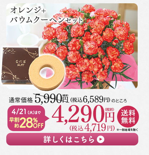 オレンジ＋バウムクーヘンセット 詳しくはこちら