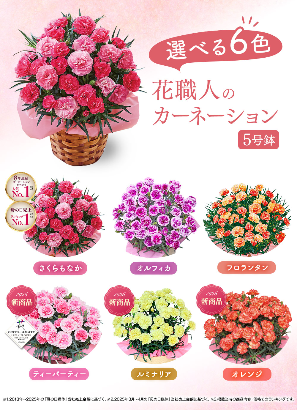 花職人のカーネーション