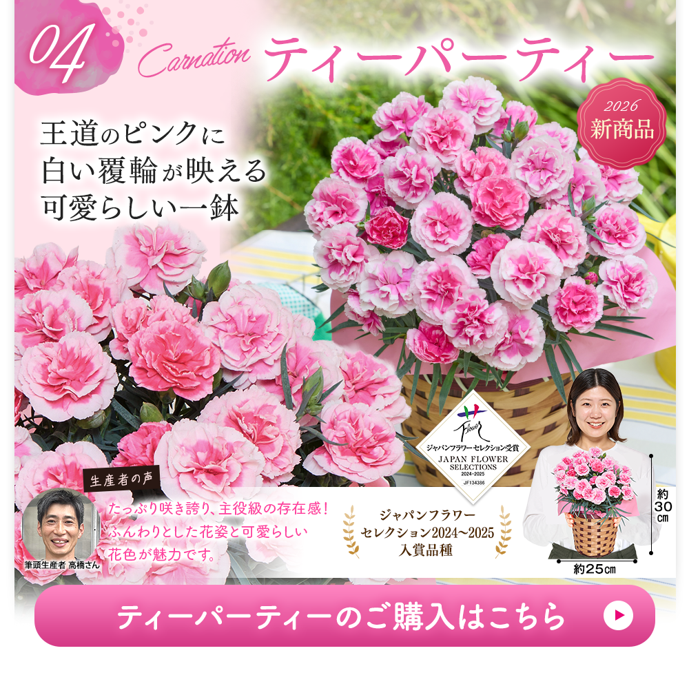 ティーパーティー