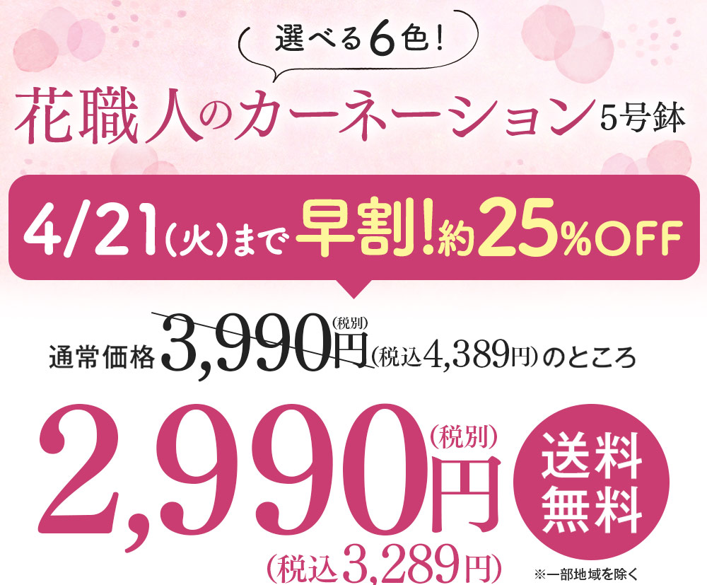 花職人のカーネーション