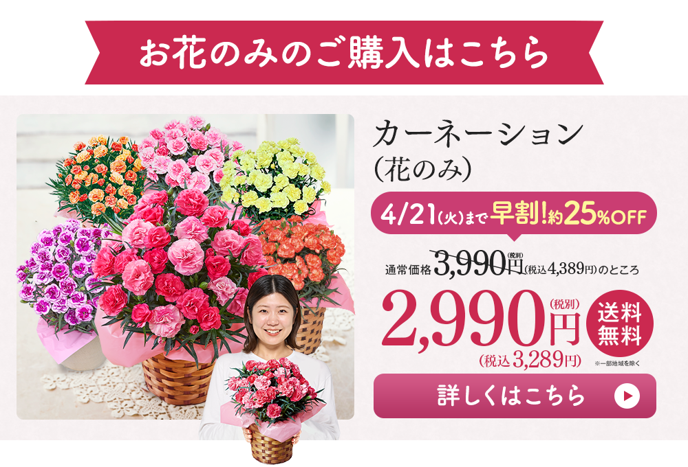 お花のみのご購入はこちら