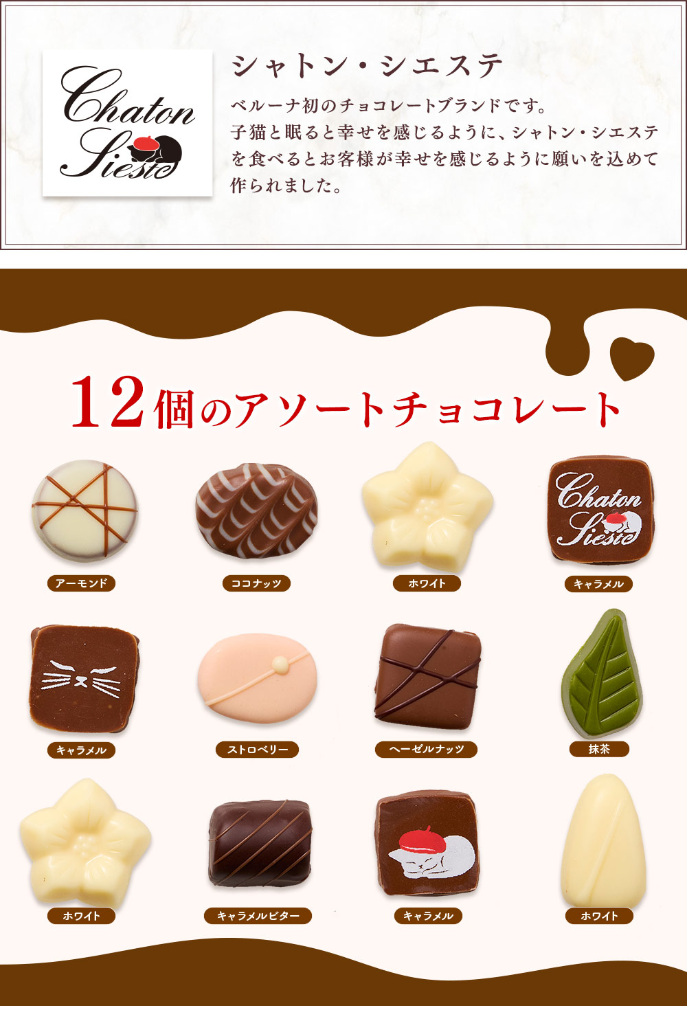 12個のアソートチョコレート