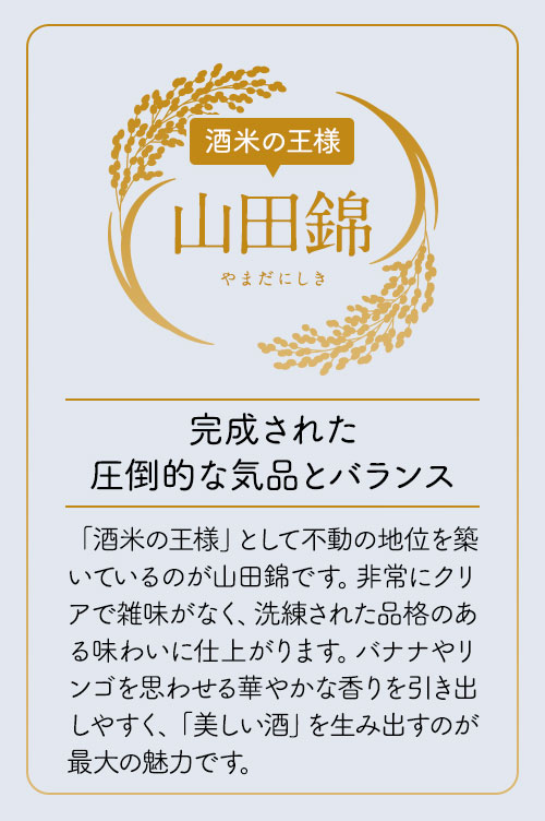 山田錦