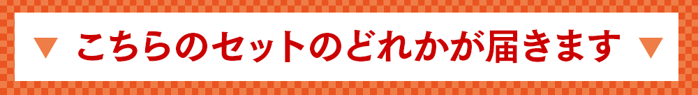 こちらのセットのどれかが届きます