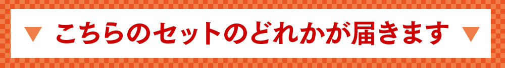 こちらのセットのどれかが届きます