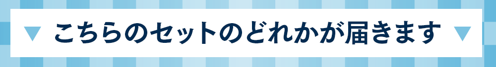 こちらのセットのどれかが届きます