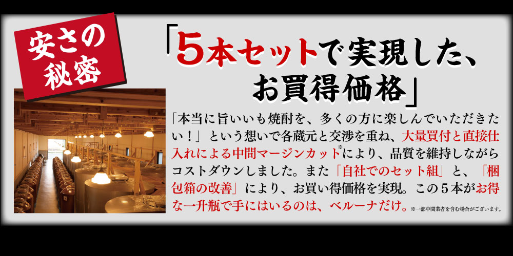 ５本セットで実現した、お買得価格
