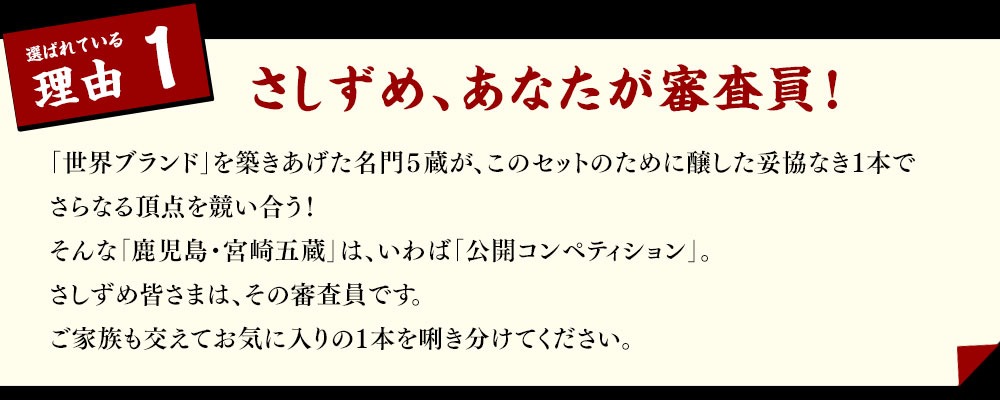 さしずめ、あなたが審査員！