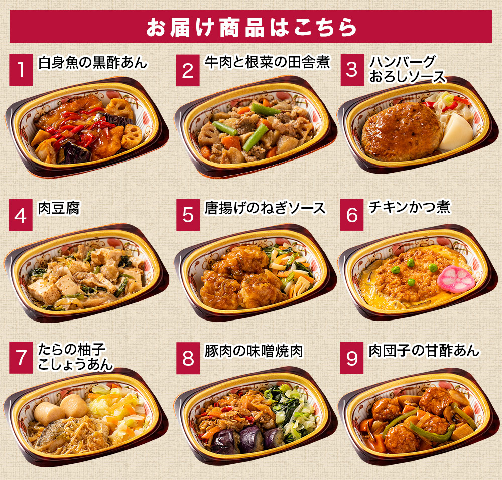 お届けメニュー1～9