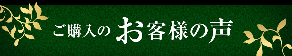 熟伝 熟成ロースハムとやわらか煮豚のセット