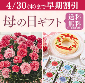 母の日特集