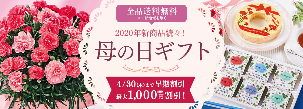 母の日ギフト・プレゼント通販2020年特集