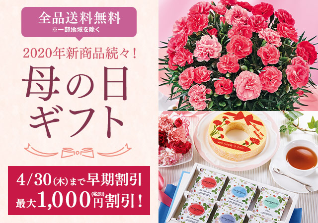 2020年新商品続々！母の日特集