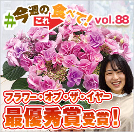 あじさいフェアリーアイ