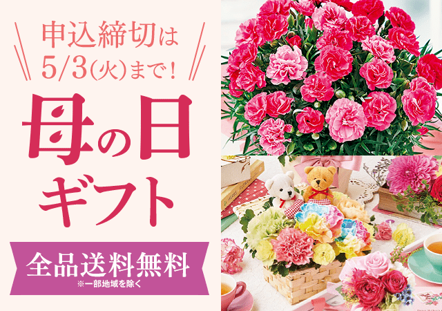 花 鉢植えの通販ならベルーナ フラワーガーデンクラブ 公式