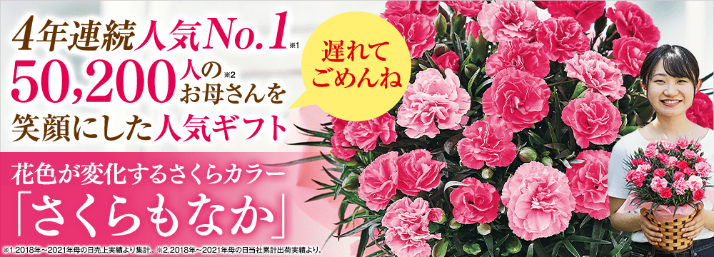 母の日 花ギフト プレゼント特集22 ベルーナグルメのギフト