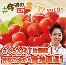 さくらんぼ職人の佐藤錦