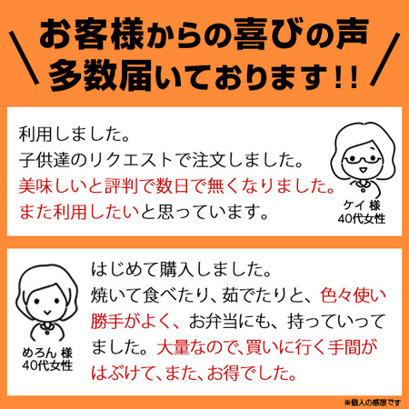 ≪ネット限定セット！約４％オフ！！≫お徳用！ウインナーソーセージ５キロ