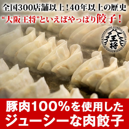 【ネット限定】大阪王将よくばり餃子セット　４５０個