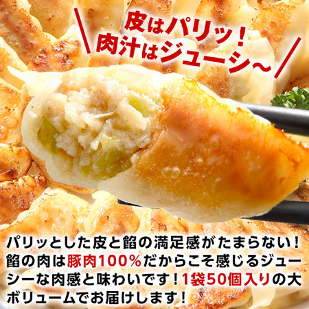 【ネット限定】大阪王将よくばり餃子セット　４５０個