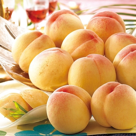 お徳用山梨白桃　７月下旬頃‐８月中旬頃お届け